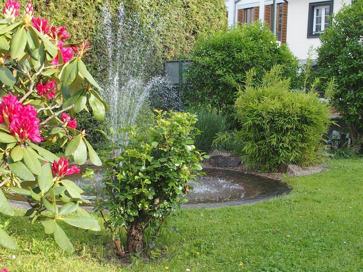 Hotel Pension Cafe Hasler Bodman-Ludwigshafen Dış mekan fotoğraf